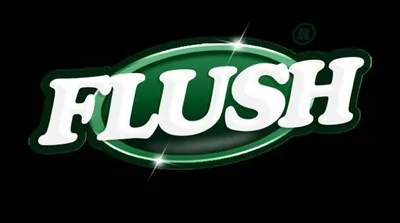 FLUSH logo